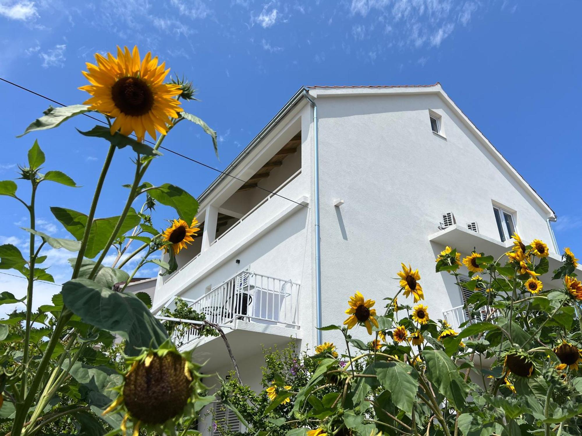 Apartments Nikola Stipisic Hvar Town Zewnętrze zdjęcie